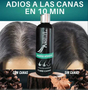 NUEVO SHAMPOO PARA CANAS | EXTREME