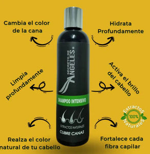 NUEVO SHAMPOO PARA CANAS | EXTREME